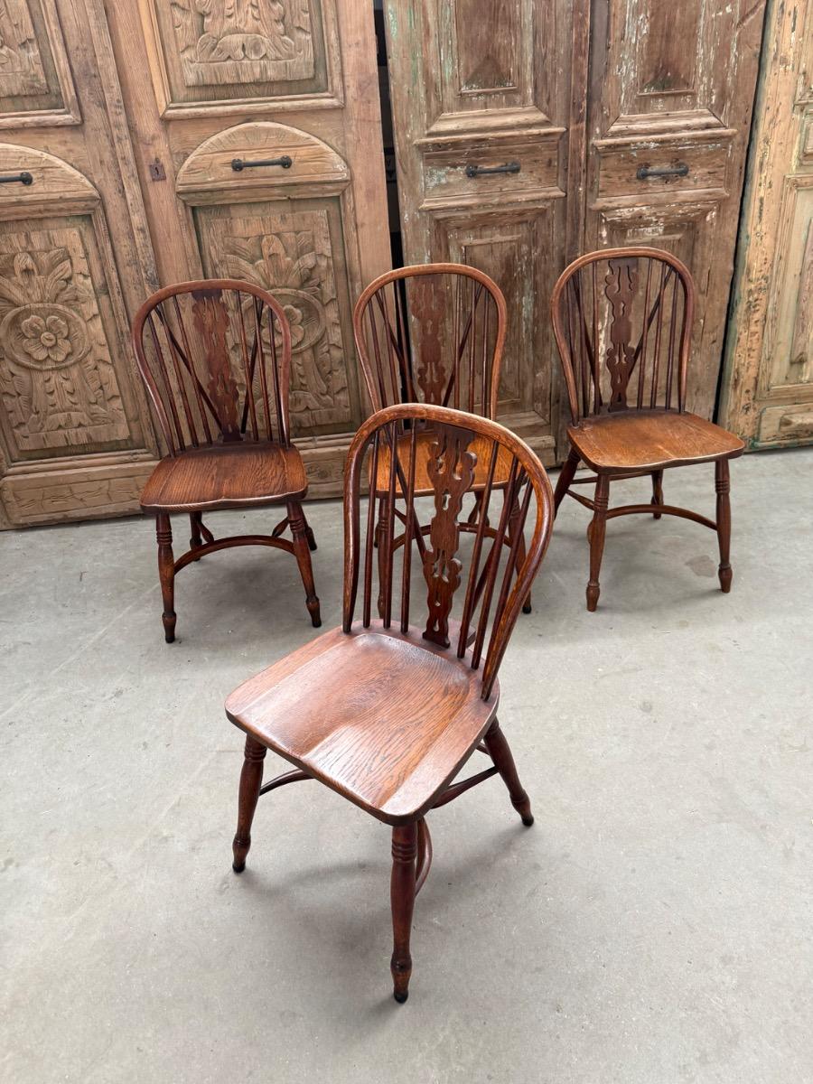 Windsor chairs